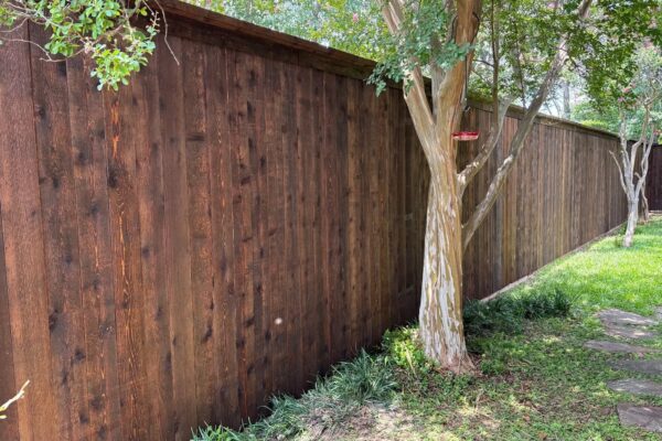 519610919_1585629822457699_1166368713148186490_n