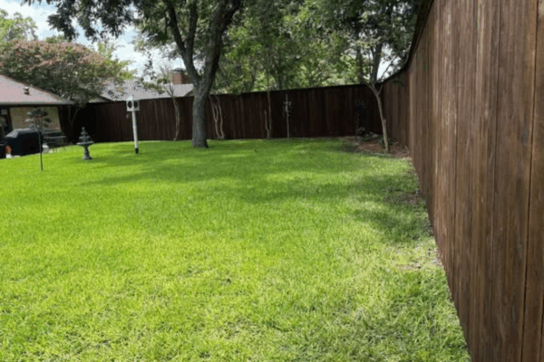 Hardy Fence Wooden Fence Replacement.2